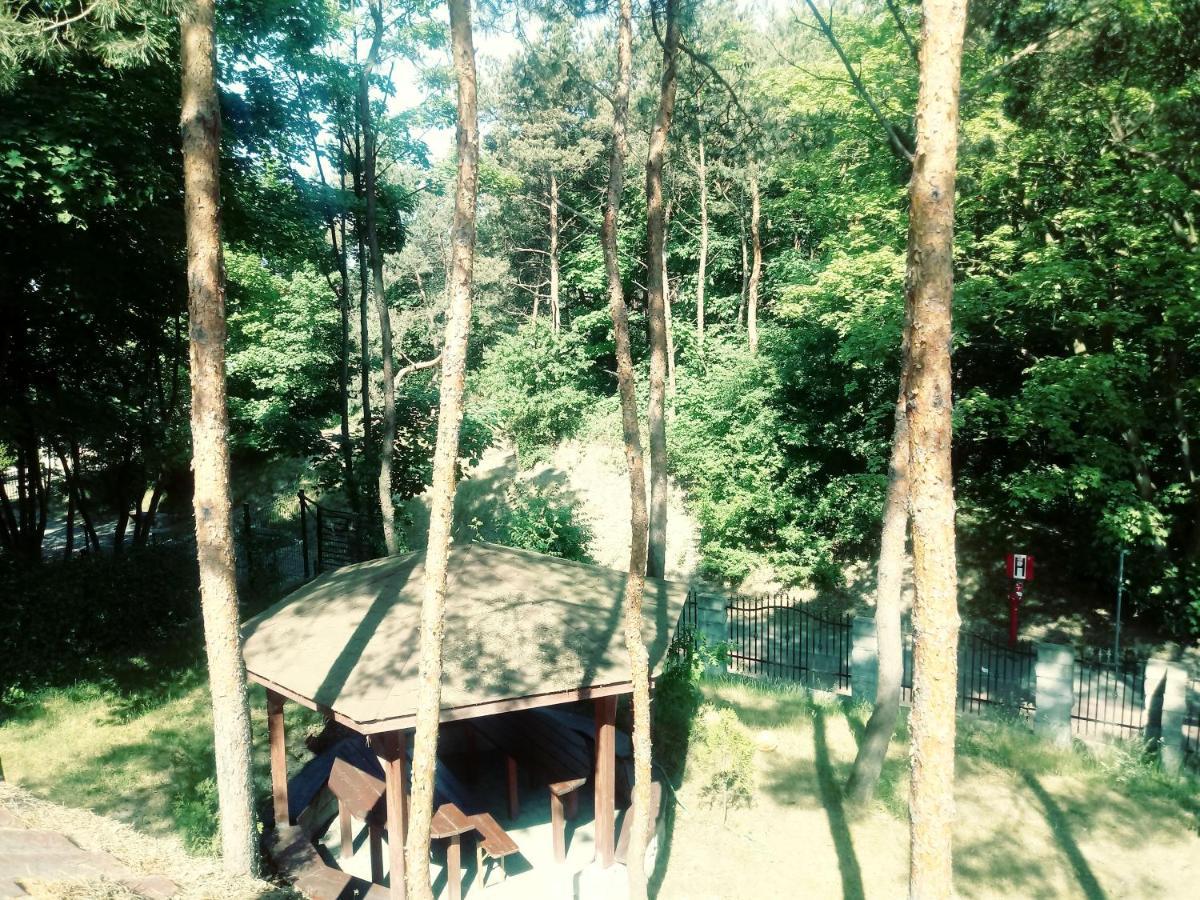 Apartament Dom na Wzgórzu Jastarnia Zewnętrze zdjęcie